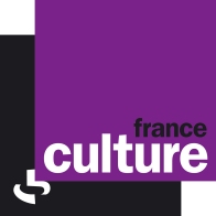 France_Culture_Olivier_Rouquan